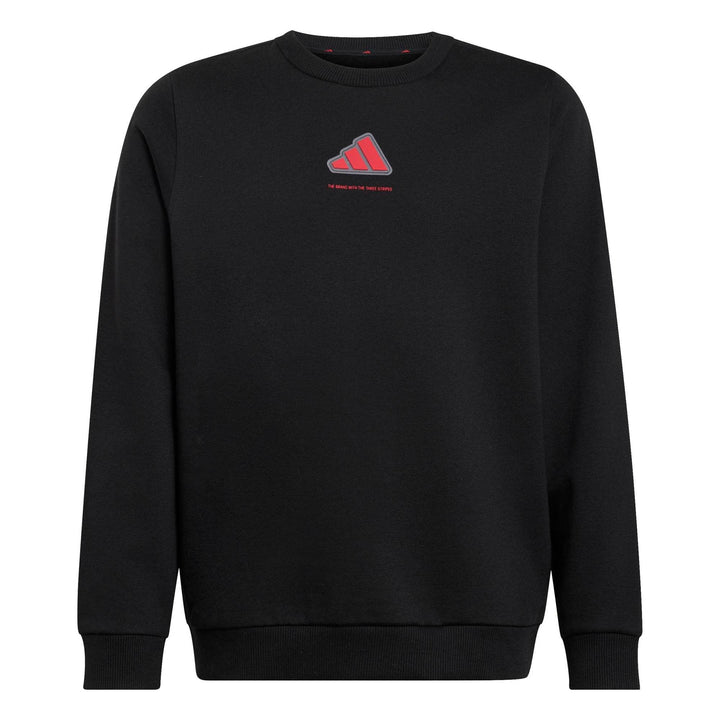adidas B Fl Swt - black