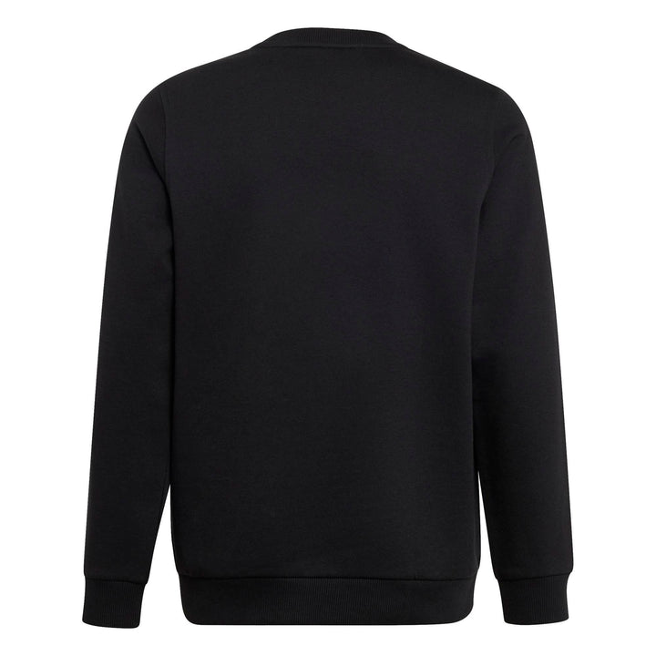 adidas B Fl Swt - black