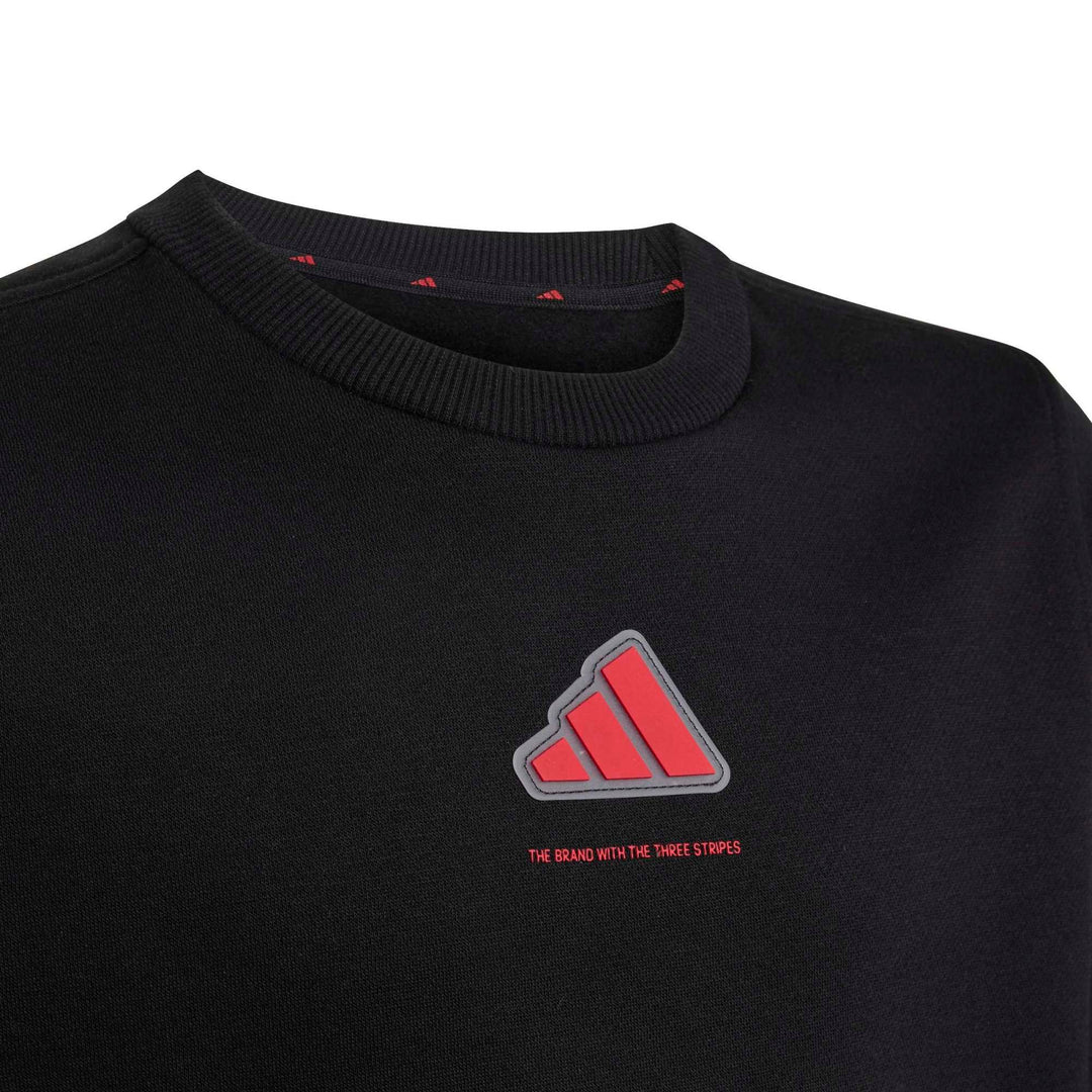 adidas B Fl Swt - black