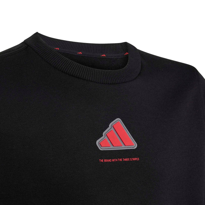 adidas B Fl Swt - black