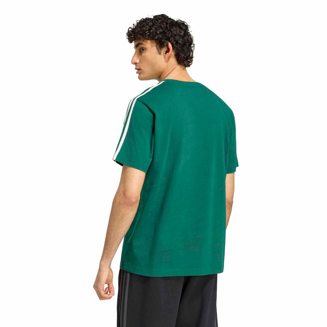 adidas M 3S Sj Lc T - cgreen/owhite