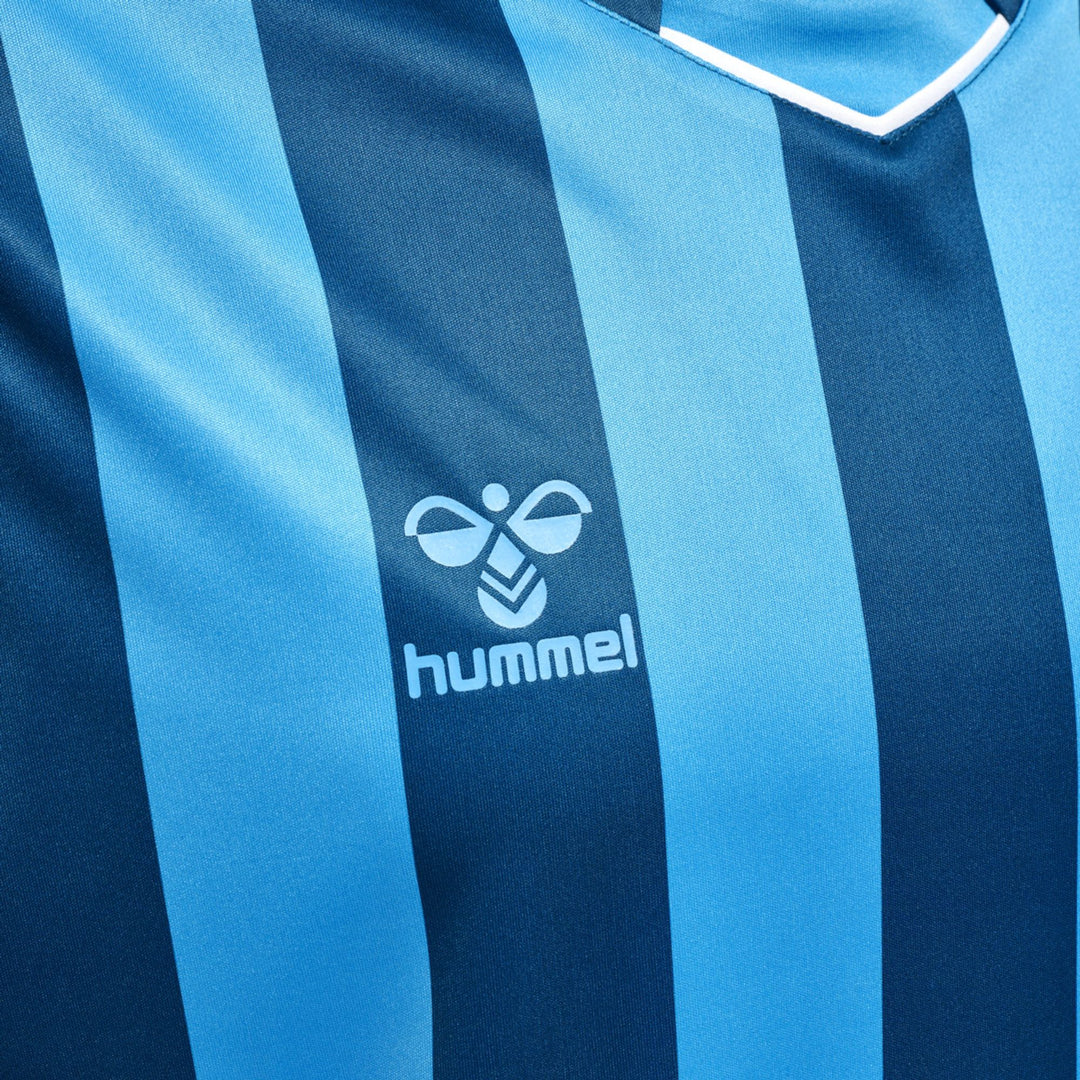 Hummel Hmlcore Xk Striped Jersey S/S - blue coral/blue danube