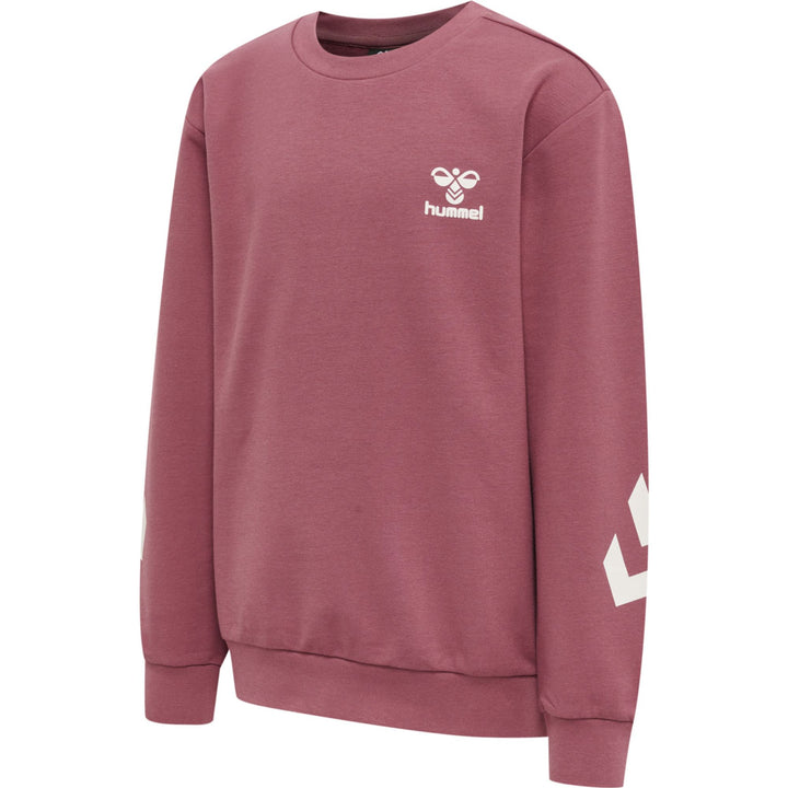 Hummel Hmlventi Tracksuit - deco rose