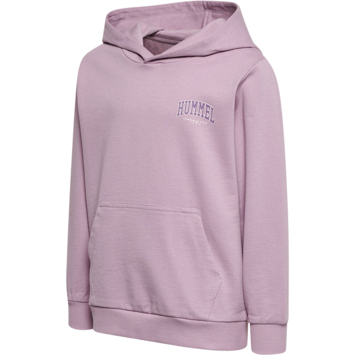 Hummel hmlFAST HOODIE - mauve shadow