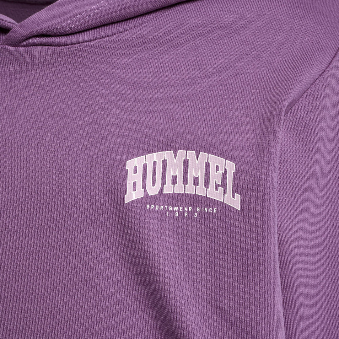 Hummel hmlFAST HOODIE - argyle purple