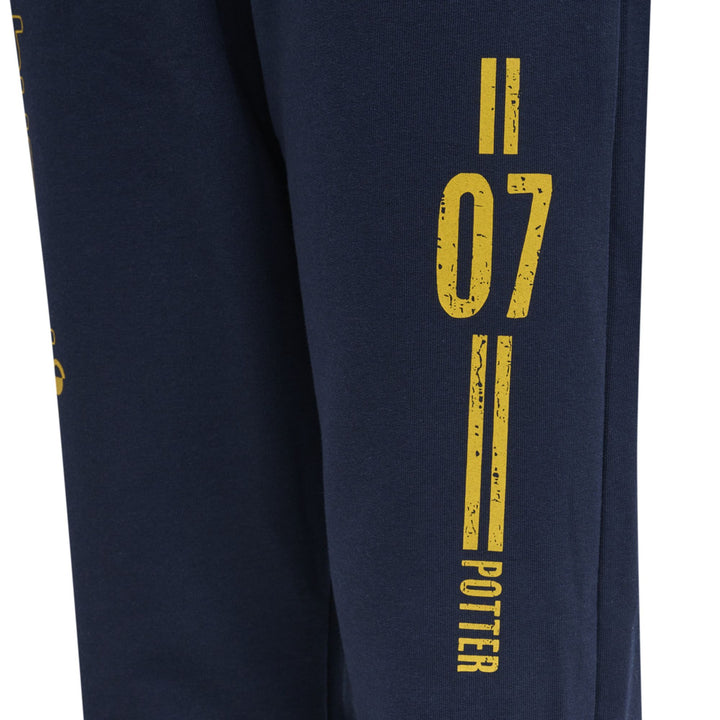 Hummel hmlHARRY POTTER ON PANTS - black iris