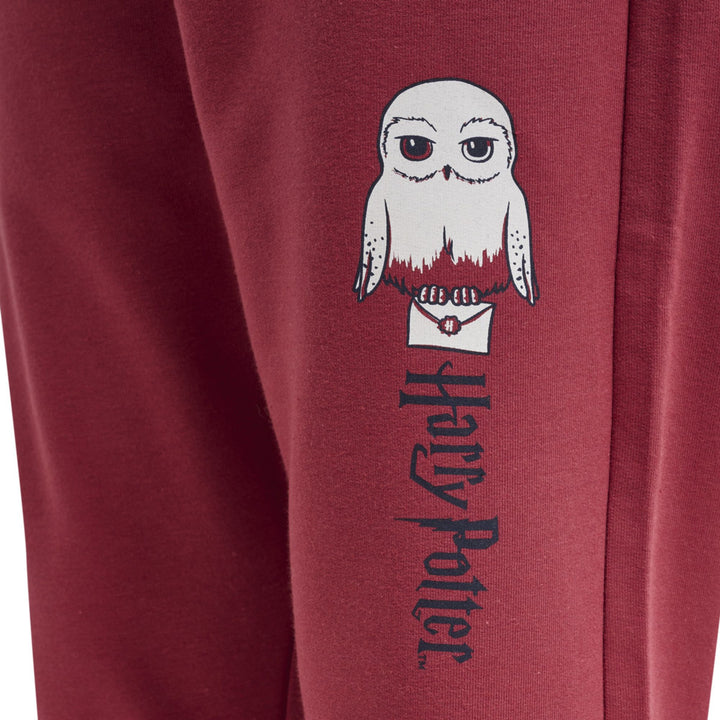 Hummel hmlHARRY POTTER ON PANTS - earth red