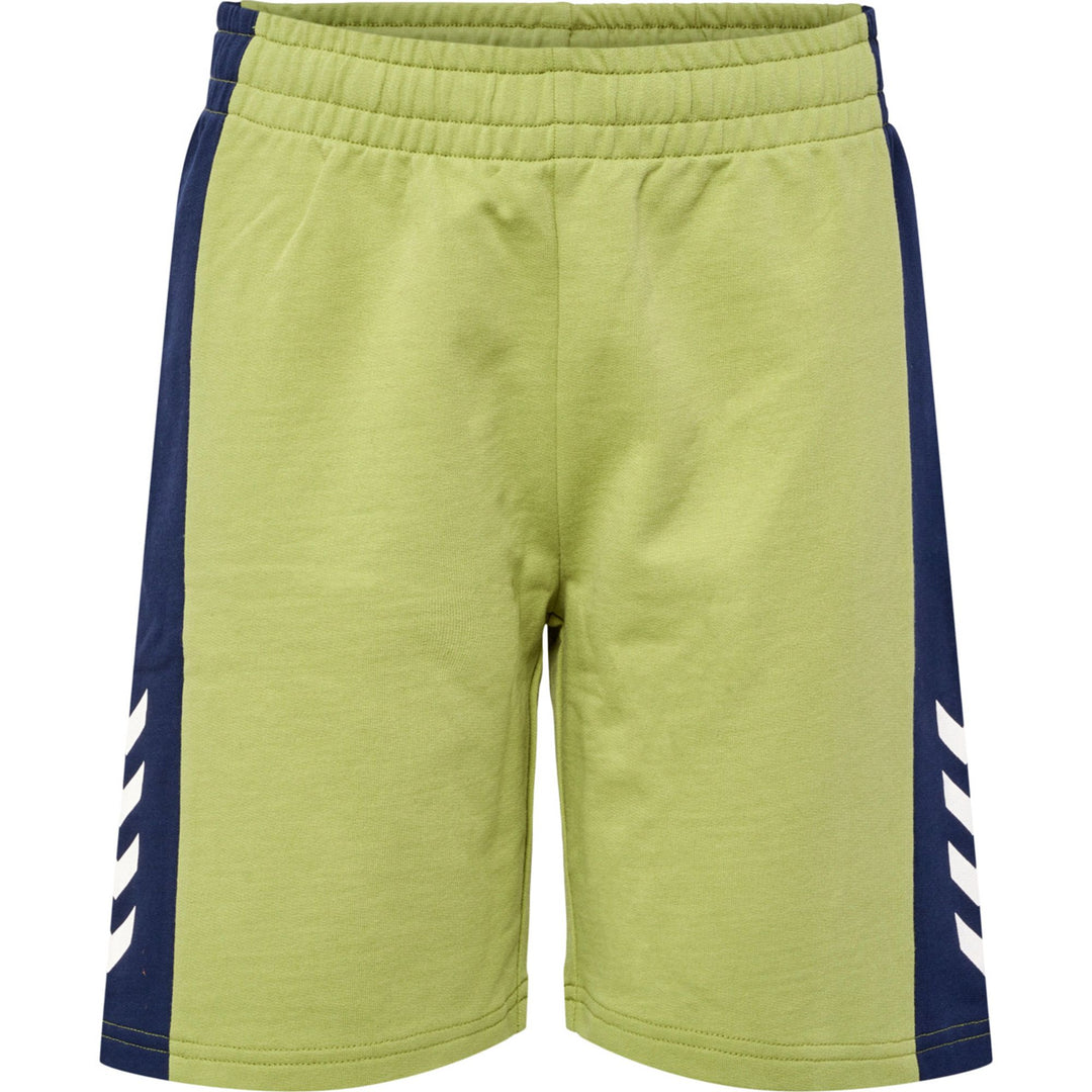 Hummel hmlRUSH BLOCK SHORTS - green olive