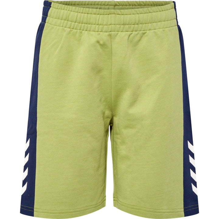 Hummel hmlRUSH BLOCK SHORTS - green olive
