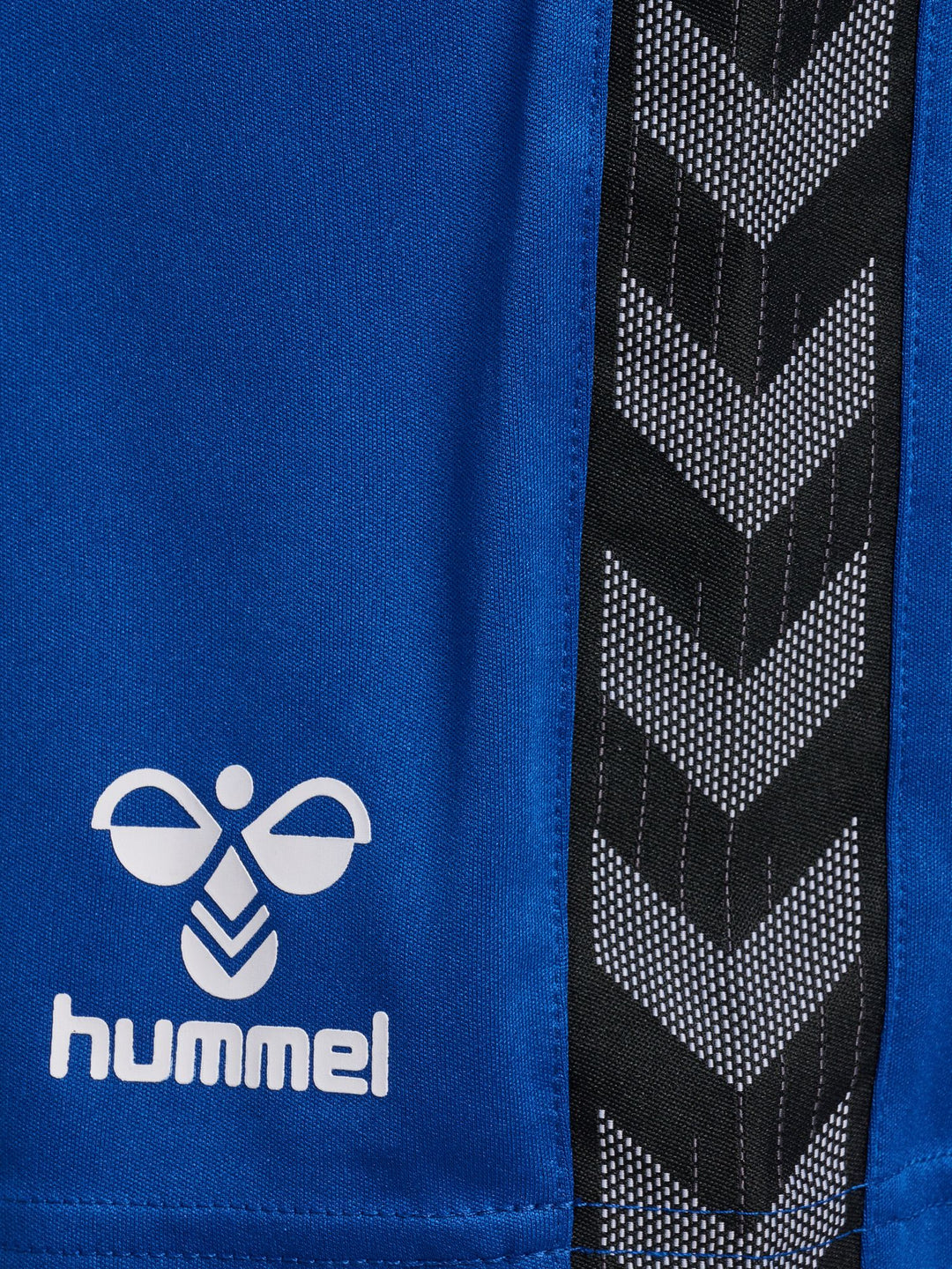 Hummel hmlAUTHENTIC PL SHORTS - true blue