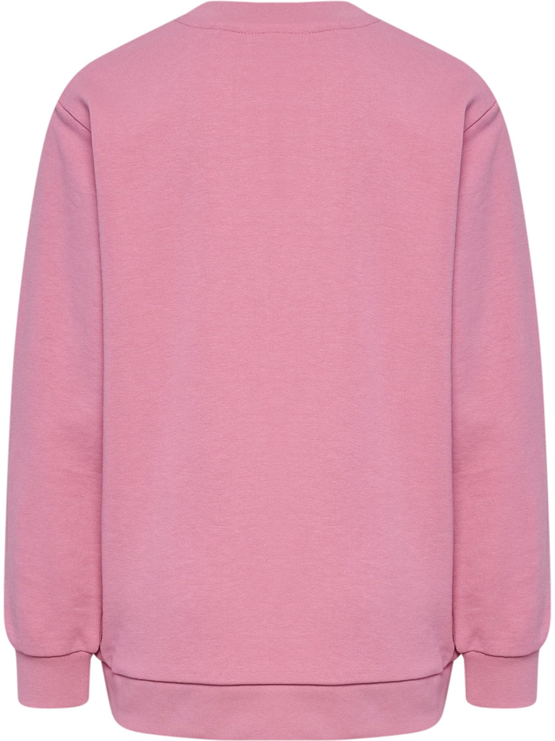 Hummel Hmljr base sweat set - polignac