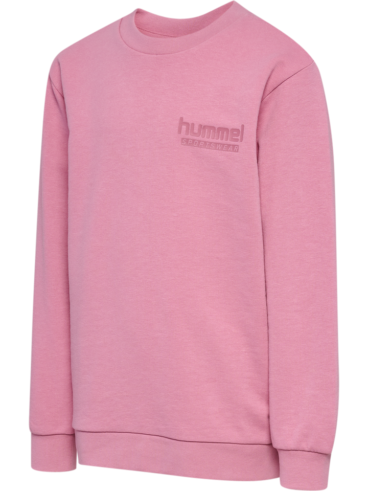 Hummel Hmljr base sweat set - polignac