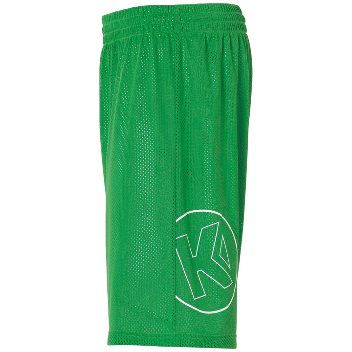 Kempa Reversible Shorts - grün/weiß