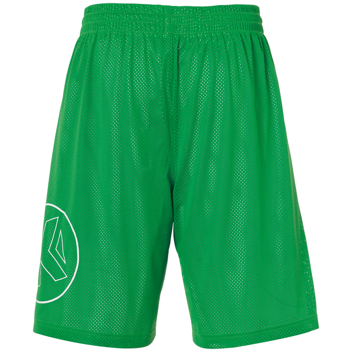 Kempa Reversible Shorts - grün/weiß