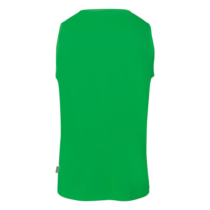 Kempa Training Bib - grün