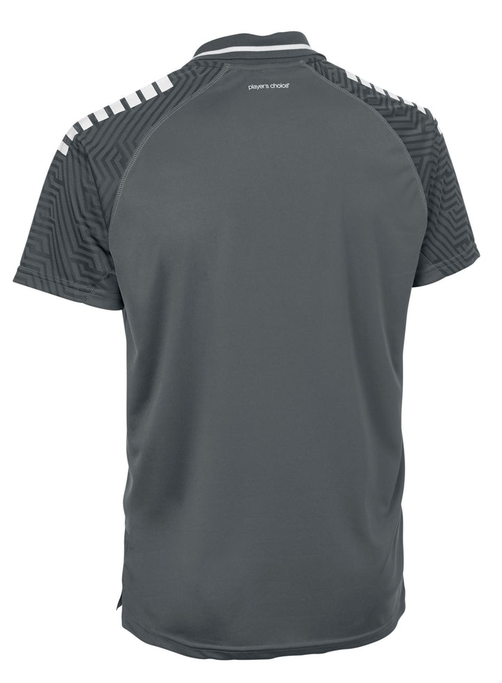 Select Monaco Polo-Shirt V24 - grau weiss