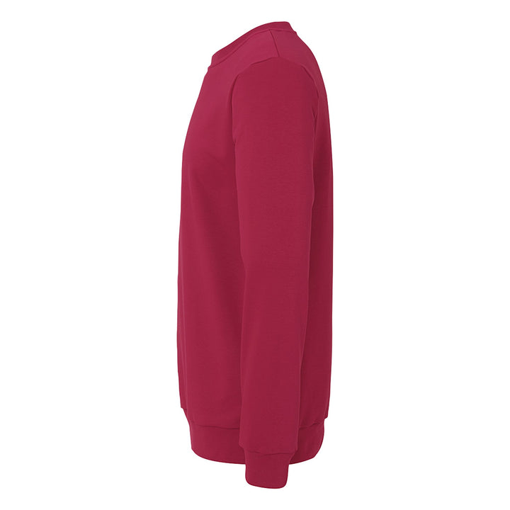 Uhlsport Sweatshirt - bordeaux